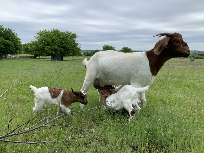 Kimball Real Estate A Family Tradition